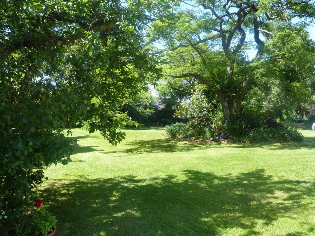 הדג' אנד Strawberry Cottage B&B מראה חיצוני תמונה