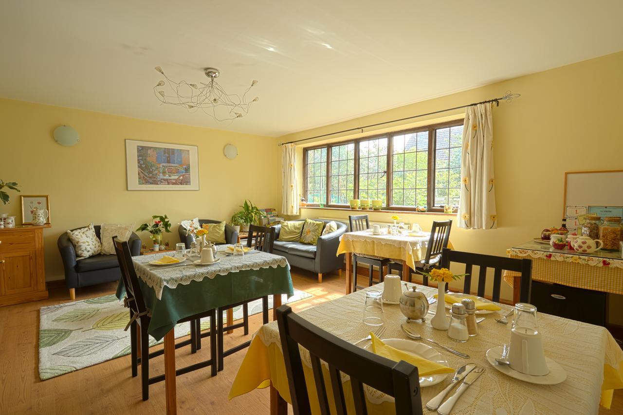הדג' אנד Strawberry Cottage B&B מראה חיצוני תמונה