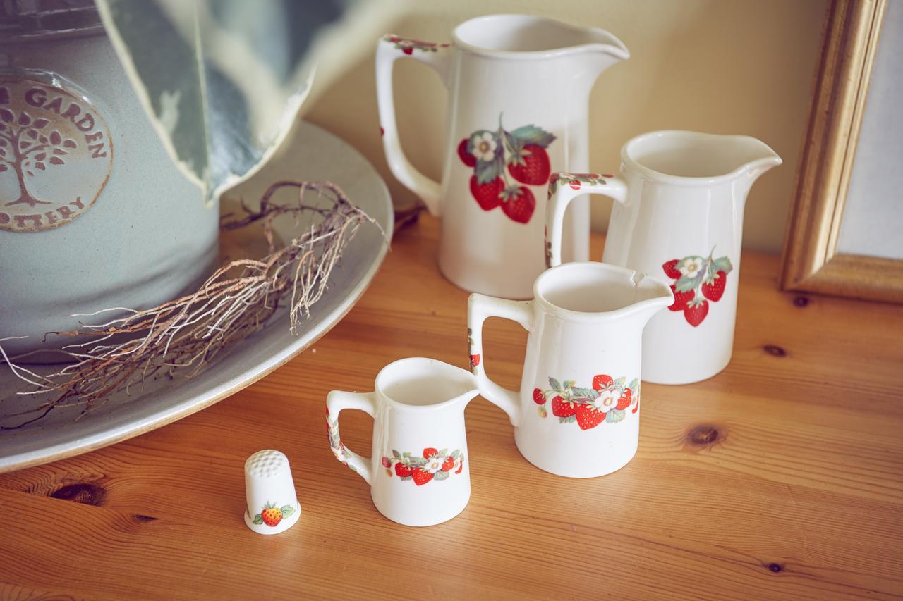 הדג' אנד Strawberry Cottage B&B מראה חיצוני תמונה