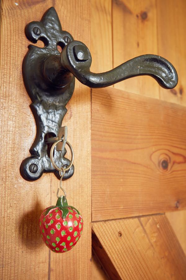 הדג' אנד Strawberry Cottage B&B מראה חיצוני תמונה